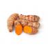 plante curcuma longa