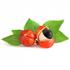 Graine de guarana